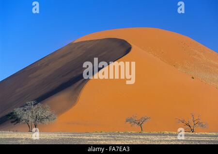 Namibia, Namib-Naukluft-Nationalpark, Sesriem, Düne 45 / / Namibie, Namib-Naukluft-Nationalpark, Sesriem, Düne 45 Stockfoto