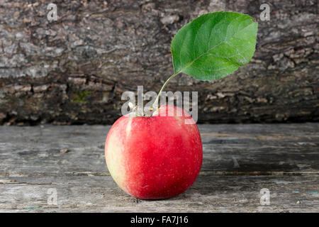 Aus biologischem Anbau Apfel. Wissenschaftlicher Name: Malus Domestica. Stockfoto