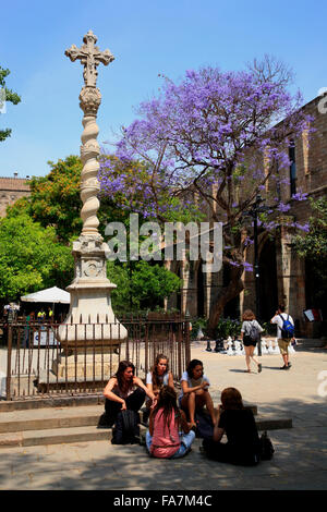 Jardins de Rubio ich Lluch, Raval, Barcelona, Spanien, Europa Stockfoto