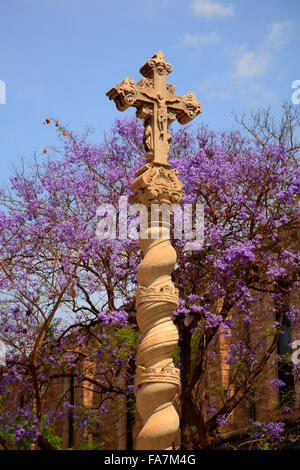 Jardins de Rubio ich Lluch, Raval, Barcelona, Spanien, Europa Stockfoto