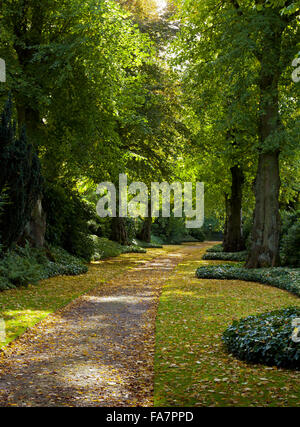 Die Lindenallee im Oktober im Biddulph Grange Garden, Staffordshire. Stockfoto