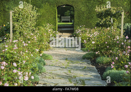 Blasse rosa Rosen im Küchengarten am Tintinhull, Somerset, underplanted mit Dianthus im September. Stockfoto