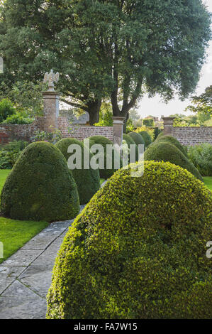 Abgeschnitten Box Linien der Weg weg von der Westfront des Hauses durch den Adler-Hof mit großen Quercus Ilex hinaus bei Tintinhull Garten, Tintinhull, Somerset. Stockfoto