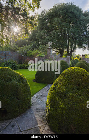 Abgeschnitten Box Linien der Weg weg von der Westfront des Hauses durch den Adler-Hof mit großen Quercus Ilex hinaus bei Tintinhull Garten, Tintinhull, Somerset. Stockfoto