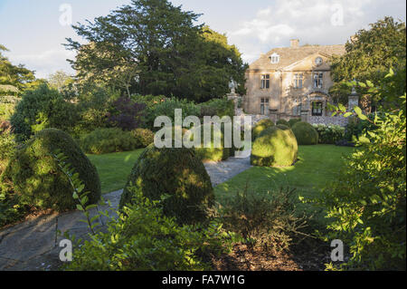 Weg durch die Azalee Garten gesäumt von abgeschnittenen Berge von Feld am Tintinhull Garten, Tintinhull, Somerset. Stockfoto