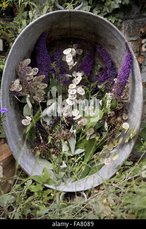 Ein Tag im Leben von Sutton House, Hackney, London. Schnittblumen und Laub in einer Metall-Wanne, in der alten Breakers Yard. Stockfoto