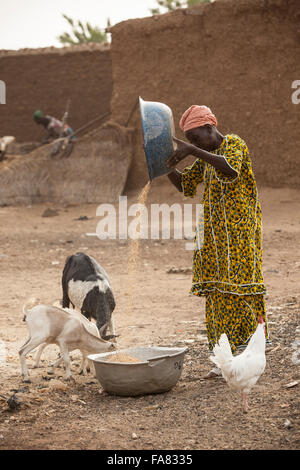 Eine Frau winnows Korn in Niassan Dorf, Burkina Faso. Stockfoto