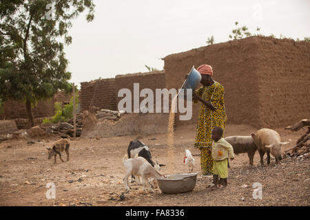 Eine Mutter winnows Korn in Niassan Dorf, Burkina Faso. Stockfoto