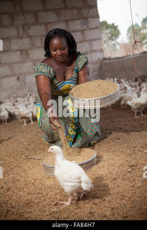 Traoré Nadine ist ein Huhn Bauer in Samaga Dorf in Burkina Faso. Stockfoto