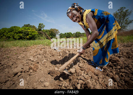 Eine Frau bereitet ein Feld für den Anbau in in Tengréla Dorf in Burkina Faso, Westafrika. Stockfoto