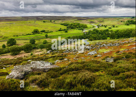 Die North York Moors Nationalpark im Frühling mit blühenden Gräser, Heidekraut und umliegende Felder Bäume. Stockfoto