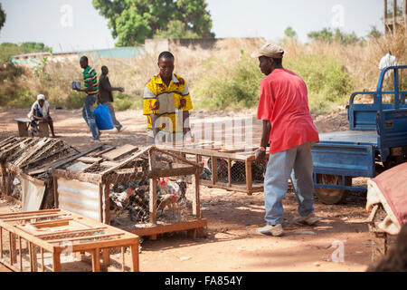 Ein Kreditor lädt Hühner auf seiner Anhänger auf dem Geflügelmarkt in Banfora, Burkina Faso. Stockfoto