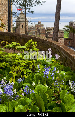 Glockenblumen und Frühling Blumen im Garten halten im Mai am Dunster Castle, Somerset. Stockfoto