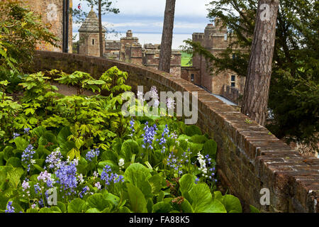 Glockenblumen und Frühling Blumen im Garten halten im Mai am Dunster Castle, Somerset. Stockfoto
