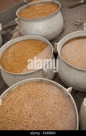 Reis ist parboiled, vor dem Verkauf an eine Gruppe Verarbeitung Frauenzentrum in Sourou Provinz, Burkina Faso. Stockfoto