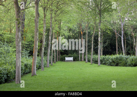 Allee mit einer Bank am anderen Ende am Claremont Landschaftsgarten, Surrey. Stockfoto