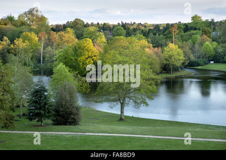 Blick von oben auf dem Rasen Amphitheater am Claremont Landschaftsgarten, Surrey. Der See wie von Bridgeman 1715 geplant war kreisrund; die heutige unregelmäßige Gestalt wurde von William Kent c.1738 erstellt. Stockfoto