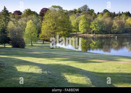 Blick von oben auf dem Rasen Amphitheater am Claremont Landschaftsgarten, Surrey. Das Amphitheater wurde um 1722 von Charles Bridgeman erstellt. Stockfoto