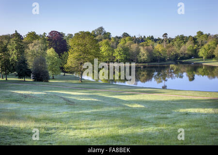 Blick von oben auf dem Rasen Amphitheater am Claremont Landschaftsgarten, Surrey. Das Amphitheater wurde um 1722 von Charles Bridgeman erstellt. Stockfoto