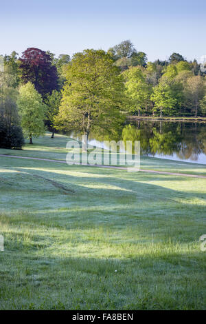 Blick von oben auf dem Rasen Amphitheater am Claremont Landschaftsgarten, Surrey. Das Amphitheater wurde um 1722 von Charles Bridgeman erstellt. Stockfoto