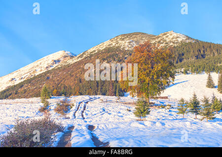 Nebel am Berg. Landschaft Stockfoto