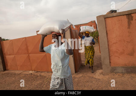 Frauen tragen Säcke Reis aus dem Lager an eine Gruppe Verarbeitung Frauenzentrum in Sourou Provinz, Burkina Faso. Stockfoto