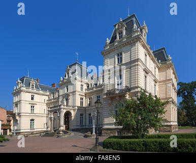 Potocki Palast in Lemberg Stockfoto