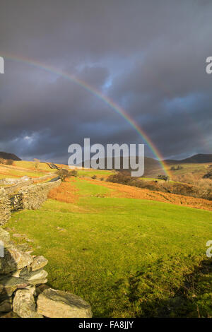 Ambelside, Cumbria, UK. 23. Dezember 2015. Großbritannien Wetter. Ein schöner Regenbogen erscheint kurz über die Straße, bekannt als "The Struggle" vor den Toren Ambelside in den Lake District National Park. Bildnachweis: Gary Telford/Alamy Live News Stockfoto