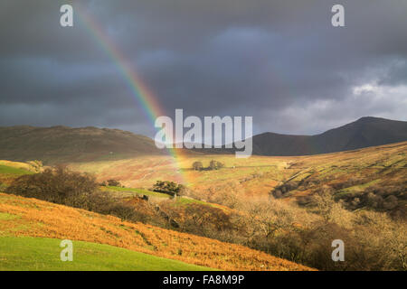 Ambelside, Cumbria, UK. 23. Dezember 2015. Großbritannien Wetter. Ein schöner Regenbogen erscheint kurz über die Straße, bekannt als "The Struggle" vor den Toren Ambelside in den Lake District National Park. Bildnachweis: Gary Telford/Alamy Live News Stockfoto