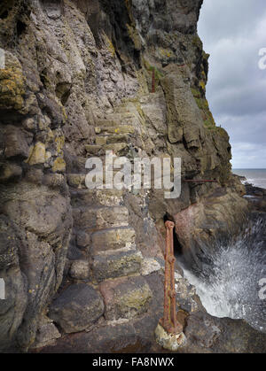 Fels gehauenen Stufen auf dem Küstenpfad an der Gobbins auf die Islandmagee Halbinsel, County Antrim, Nordirland. Stockfoto