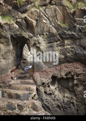 Fels gehauenen Stufen auf dem Küstenpfad an der Gobbins auf die Islandmagee Halbinsel, County Antrim, Nordirland. Stockfoto