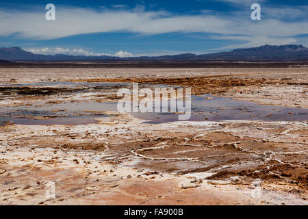 Ojos del Salar an den Salar de Uyuni, Salinen auf der bolivianischen Altiplano, in der Nähe von Uyuni, Abteilung Potosí, Bolivien Stockfoto