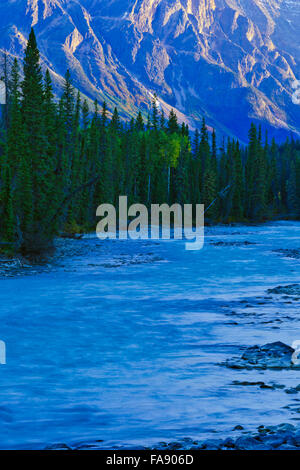 Whirlpool-Fluss, Jasper-Nationalpark Stockfoto