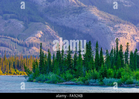 Athabasca River und Roche De Smet Berg, Jasper National Park; Kanada Stockfoto