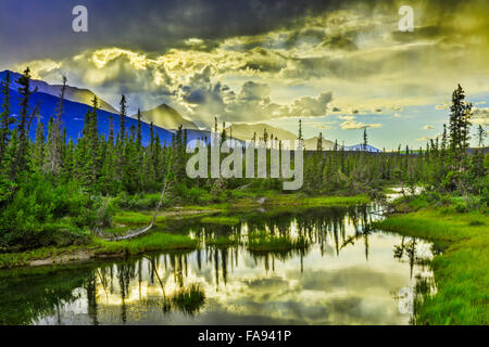 Vancouver Island, BC, Kanada Stockfoto