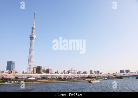 Blick auf Skytree Tower, Tokyo, Japan Stockfoto