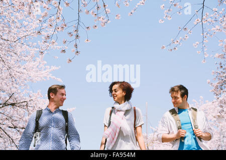 Multi-ethnischen Gruppe von Freunden genießen Kirschblüten blühen in Tokio Stockfoto