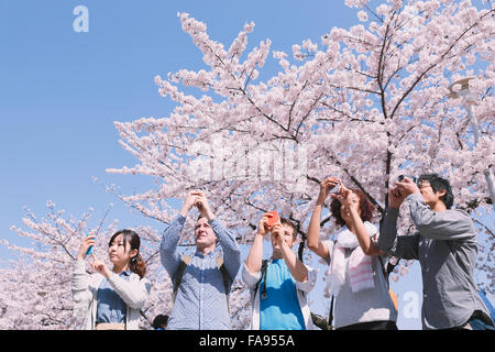 Multi-ethnischen Gruppe von Freunden genießen Kirschblüten blühen in Tokio Stockfoto