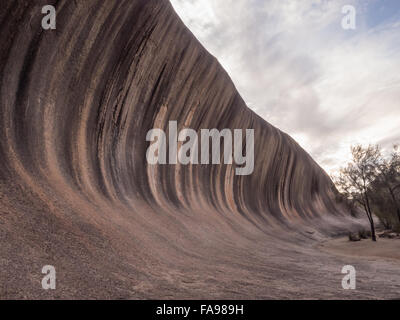 Wave Rock bei Sonnenuntergang, Western Australia Stockfoto