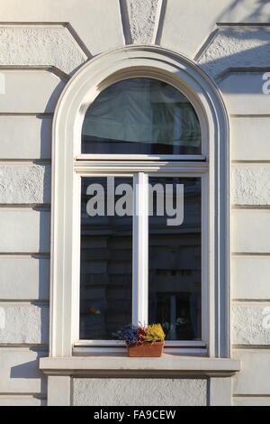 Fenster mit Blumentopf in der Südstadt in Bonn-Deutschland Stockfoto