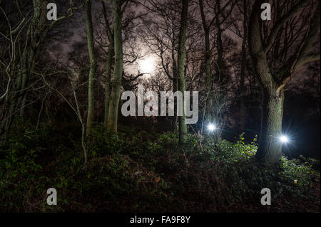 Shotover Wald, Oxford, UK. 23. Dezember 2015. Großbritannien Wetter. Ein fast Vollmond glänzt durch helle Wolke in die Eichenwälder - Vollmond wird zeitgleich mit Weihnachten in diesem Jahr zum ersten Mal in 38 Jahren.  Foto: Andrew Walmsley/Alamy Live-Nachrichten Stockfoto