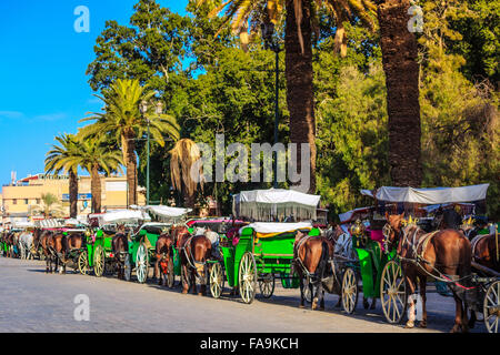 Horse-drawn Wagen auf dem Hauptplatz in Marrakesch Stockfoto