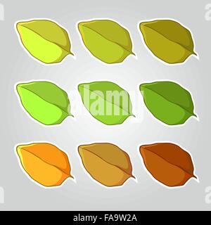 Reihe von Blättern Stock Vektor