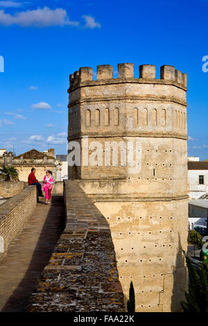 Wände des Alcazar, 12. Jahrhundert, Jerez De La Frontera, Andalusien, Spanien Stockfoto