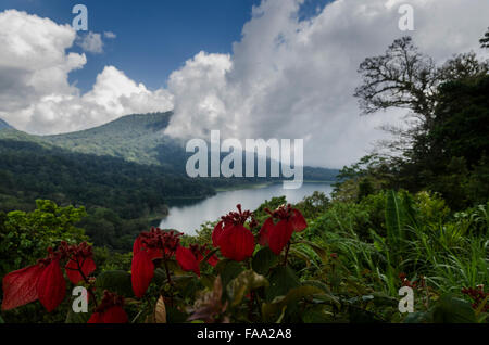 Mout Agung hinter den Wolken Stockfoto