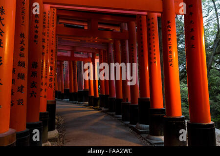 Detail der Namen eingraviert auf der Torii des Fushimi Inari-Taisha, Fushimi-Ku, Kyoto, Japan. Stockfoto