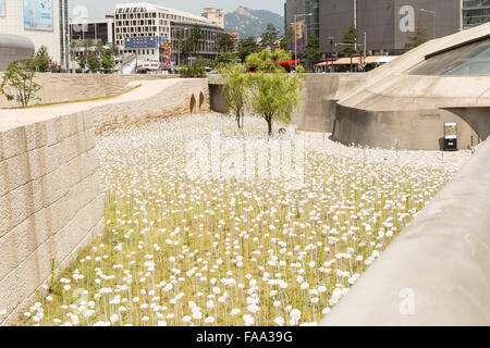 Weiße Blume Garten, Dongdaemun Geschichte & Kulturpark, Dongdaemun Design Plaza, Seoul, Südkorea. Offiziell eröffnet am M Stockfoto