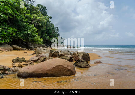 Strand auf der Insel Tioman in Malaysia Stockfoto