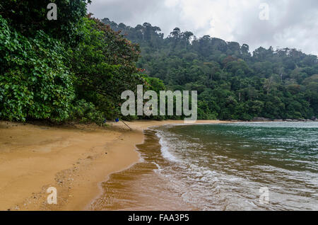 Strand auf der Insel Tioman in Malaysia Stockfoto