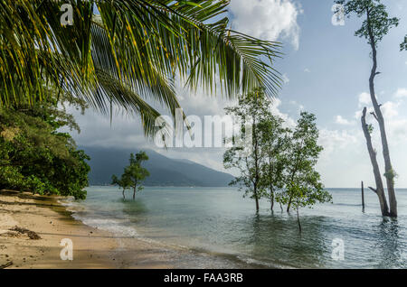 Strand auf der Insel Tioman in Malaysia Stockfoto